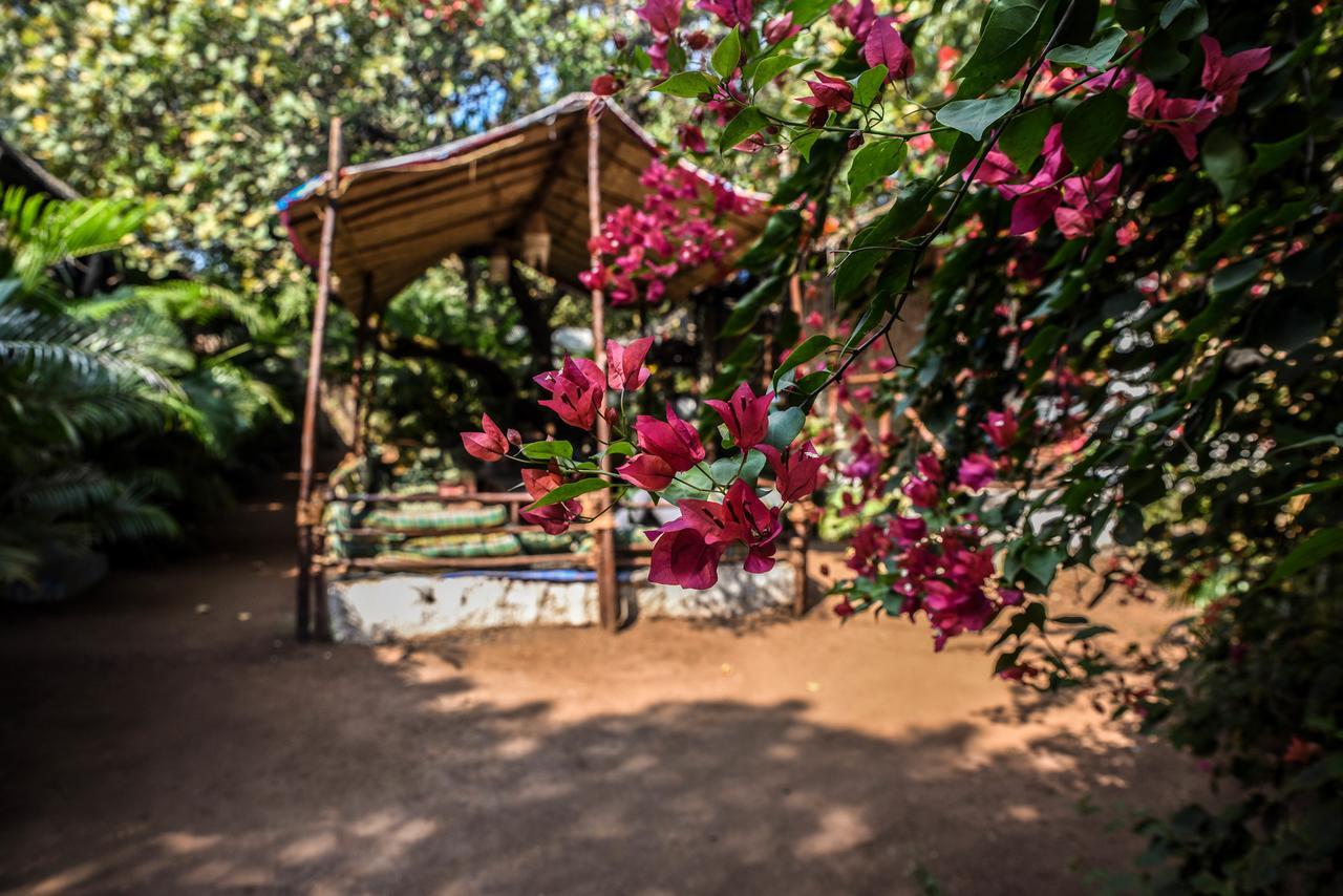 Rudra Holidays Guest House 阿姆波尔 外观 照片
