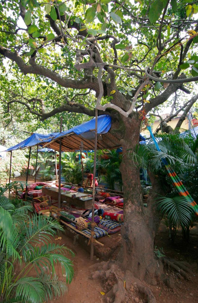 Rudra Holidays Guest House 阿姆波尔 外观 照片