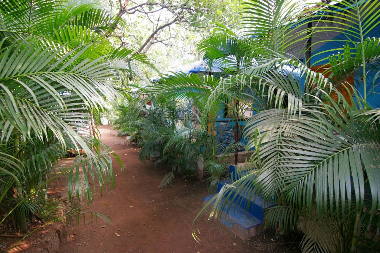 Rudra Holidays Guest House 阿姆波尔 外观 照片